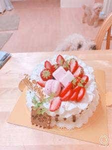 お嫁ちゃんのシフォンケーキ