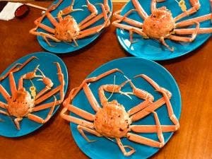 越前かに専門店 お食事処 小鉄