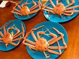 越前かに専門店 お食事処 小鉄