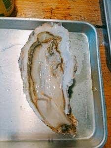 成東水産