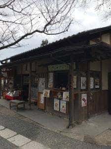 菜の花 龍安寺