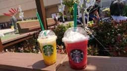 スターバックス コーヒー 梅田蔦屋書店