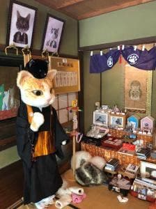 猫猫寺 cafe