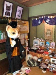 猫猫寺 cafe