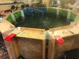 釣り掘りカフェ Catch&Eat 練馬店