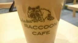 RACCOON CAFE