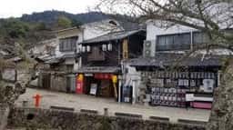 だるまの八昌 宮島店