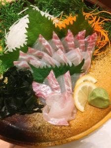 ジャンボ釣船 つり吉 難波店