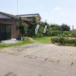 麦香素