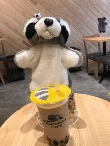 RACCOON CAFE
