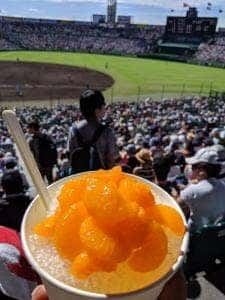 阪神甲子園球場 売店