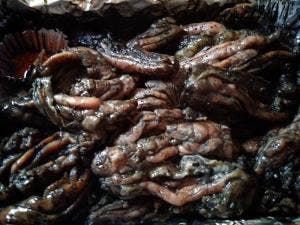 きりしま高原地鳥炭火焼き 半蔵