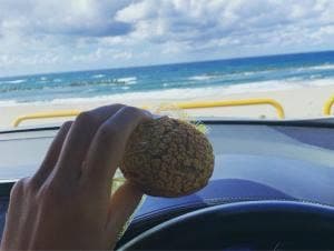 ㈲甲田菓子店