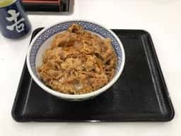 吉野家 苫小牧新開町店