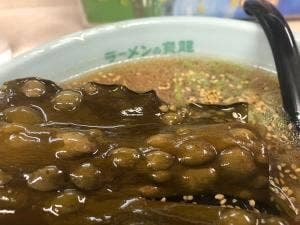 寳龍 浦河店