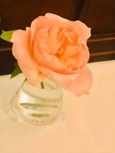 ラ・シルフィード