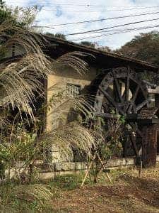 しづの里 蕎麦処 産土