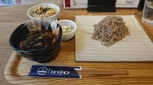 花粉 ファースト