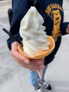 ビーンズ ラスパ白山店