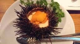 恵比寿焼肉 kintan