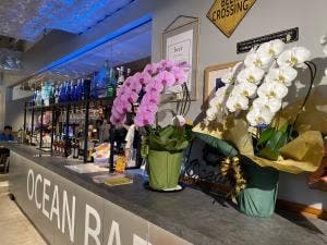 OCEAN BAR