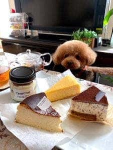cheese cake mania! 稲沢店