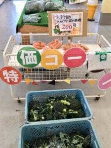 観光農園花ひろば