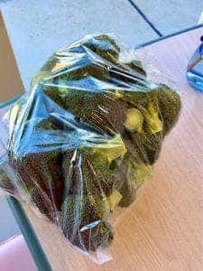 観光農園花ひろば