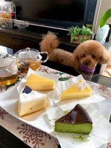 cheese cake mania! 稲沢店