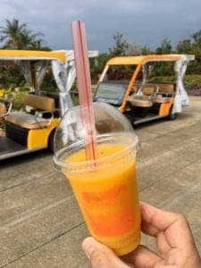 宮古島熱帯果樹園 まいぱり カフェ&ショップ