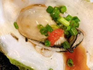 焼鳥居酒屋とりあん