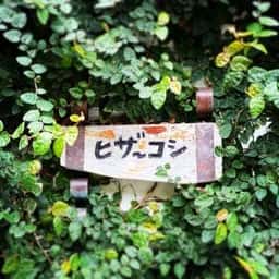 大衆食堂ヒザコシ