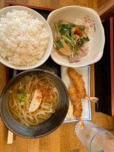 FUJIMARU UDON