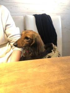 アイアンマン 二子玉川