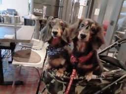 お好焼ころんぶす石川町駅前店