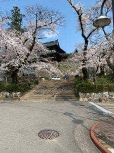 宗休庵