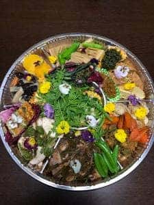 オーミリュードゥラヴィ