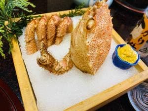 御幸荘花結び