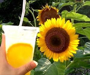 ケンタッキーフライドチキン 船橋芝山店