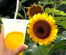 ケンタッキーフライドチキン 船橋芝山店