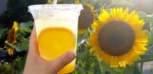 ケンタッキーフライドチキン 船橋芝山店
