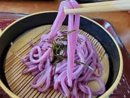 釜出しさぬきうどん めん一