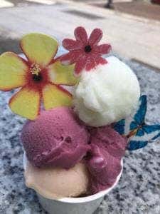カンピオーネジェラテリア 北浦和店