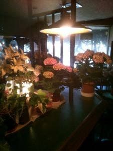 COFFEE HOUSE 街