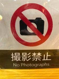 やまどり