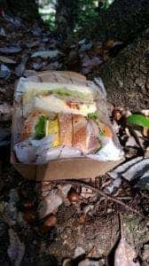 ドンクエディテ ミウィ橋本店