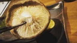 日本酒バル ゆすら堂