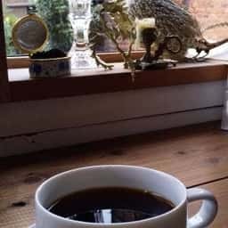 take coffee roastery