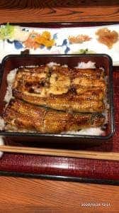うな菊