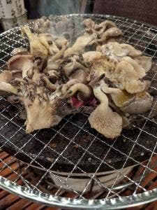 台風倶楽部 Pousse Cafe